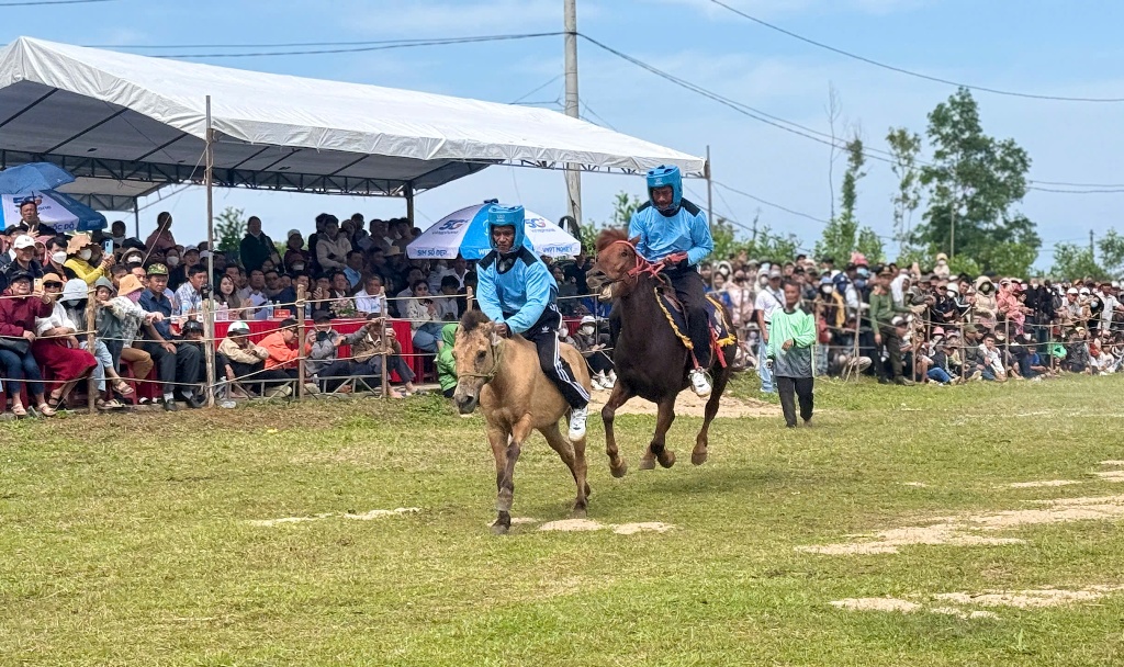 các kị sỹ cùng kị mã thi đấu.